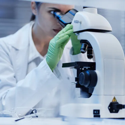 Paint Laboratory Testing